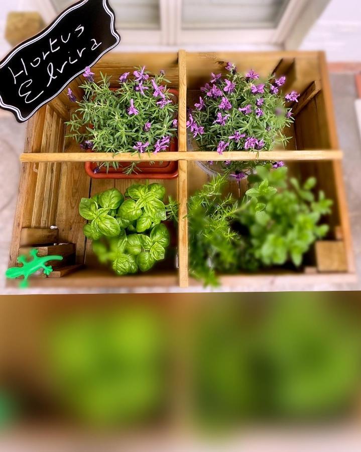 בוסקוריאלה Sky And Green Luxury Apartament מראה חיצוני תמונה